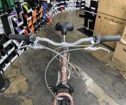 Retrospec Barron Step-Thru Comfort Hybrid Bike 21-Speed - Mauve 2022 -Retrospec Sales Store RGOA3OmIfVE3zlg048KG DekU