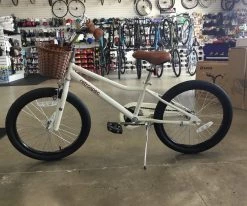 Retrospec Koda 20 inch